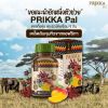 Prikka pal พริกค่ะ แพล อาหารเสริมช่วยคุมหิวเร่งเผาผลาญ ของชาวแอฟริกันโบราณ (50แคปซูล) 2 กระปุก