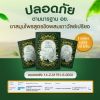 T-Sano Tea ทีซาโน่ (10ซอง) 3 กล่อง