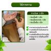 Arana ใบหม่อนเม็ด (30 แคปซูล) 1 กล่อง + แถมฟรี Arana ใบหม่อนเม็ด (30 แคปซูล) 1 กล่อง