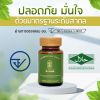 Arana ใบหม่อนเม็ด (30 แคปซูล) 1 กล่อง + แถมฟรี Arana ใบหม่อนเม็ด (30 แคปซูล) 1 กล่อง