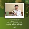 Arana ใบหม่อนเม็ด (30 แคปซูล) 1 กล่อง + แถมฟรี Arana ใบหม่อนเม็ด (30 แคปซูล) 1 กล่อง