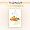 Plantanica Mouth Spray สเปรย์ระงับกลิ่นปาก แก้เจ็บคอ (30ml.) 4 กล่อง
