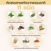 Plantanica Mouth Spray สเปรย์ระงับกลิ่นปาก แก้เจ็บคอ (30ml.) 4 กล่อง