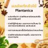 Plantanica Mouth Spray สเปรย์ระงับกลิ่นปาก แก้เจ็บคอ (30ml.) 4 กล่อง