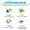 โปรรายการแฉ Wonder Smile ส่งฟรี