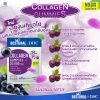 Bestural X DHC Collagen Gummies คอลลาเจนแบบเคี้ยว รสองุ่นเคียวโฮ (40เม็ด) 8 ซอง + ฟรี 2 ซอง