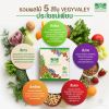 Vegyvaley เวจจี้แวลลี่ ปรับสมดุลลำไส้สุขภาพดี (10ซอง) 2 กล่อง + แถมฟรี Vegyvaley (10 ซอง) 1 กล่อง