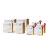 Collakenko Plus CK&B คอลลาเคนโกะ พลัส ซีเค แอนด์ บี (15ซอง) 4 กล่อง + แถมฟรี Collakenko Plus CK&B (5ซอง) 5 กล่อง