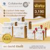 Collakenko Plus CK&B คอลลาเคนโกะ พลัส ซีเค แอนด์ บี (15ซอง) 5 กล่อง + แถมฟรี Collakenko Plus CK&B (5ซอง) 5 กล่อง