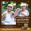 T Mixes Herbal Tea ทีมิกซ์ ชาสมุนไพรไทย (10ซอง) 2 กล่อง + แถมฟรี T Mixes Herbal Tea (10ซอง) (1 กล่อง)
