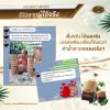 T Mixes Herbal Tea ชาสมุนไพร ทีมิกซ์ (10ซอง) 7 กล่อง + แถมฟรี T Mixes Herbal Tea (10ซอง) 2 กล่อง + กาชงชา (750ml) 1 ใบ + หนังสือเบาหวาน 1 เล่ม