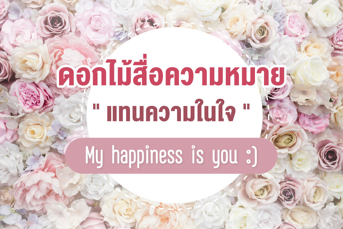 ดอกไม้สื่อความหมายแทนความในใจวันวาเลนไทน์