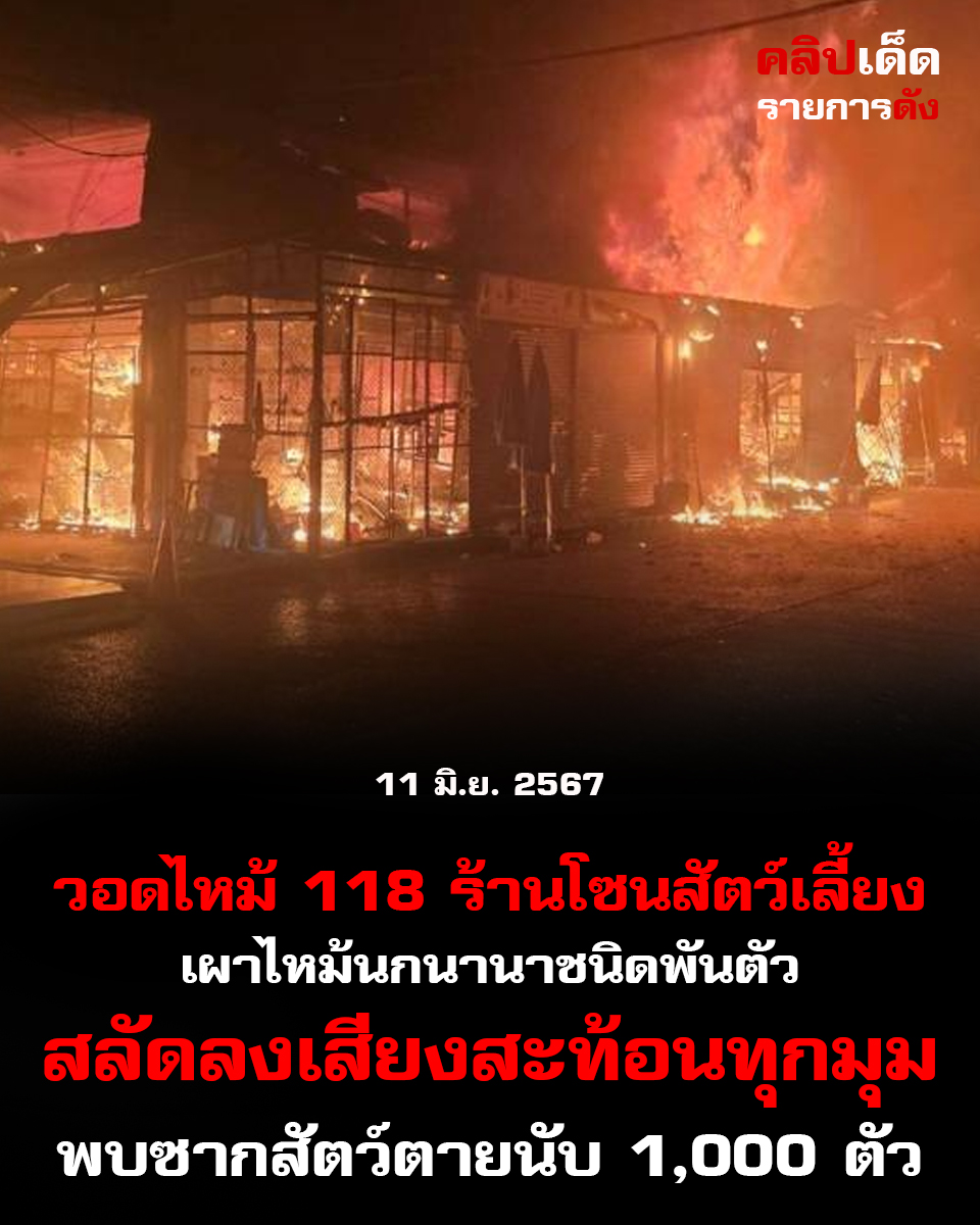 "วอด 118 ร้านโซนสัตว์เลี้ยงเผาไหม้นกนานาชนิดพันตัวสลัดลงเสียงสะท้อนทุกมุม