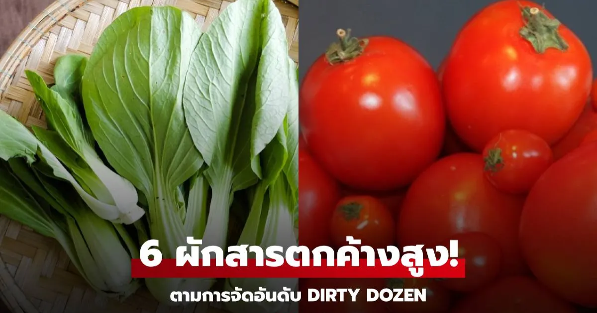 เตือนแล้วนะ! ผัก 6 ชนิด ที่มักมีสารตกค้าง "สูงสุด" ขายเกลื่อนตลาด ควรระวังก่อนซื้อกิน