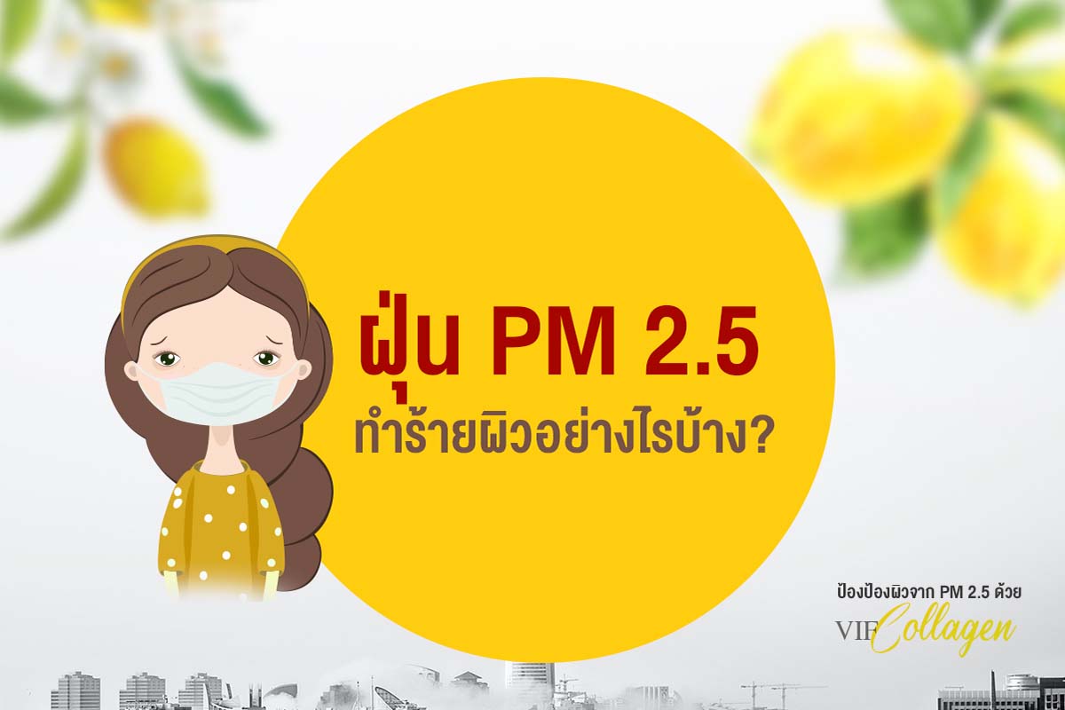 ฝุ่น PM 2.5 ทำร้ายผิวอย่างไร