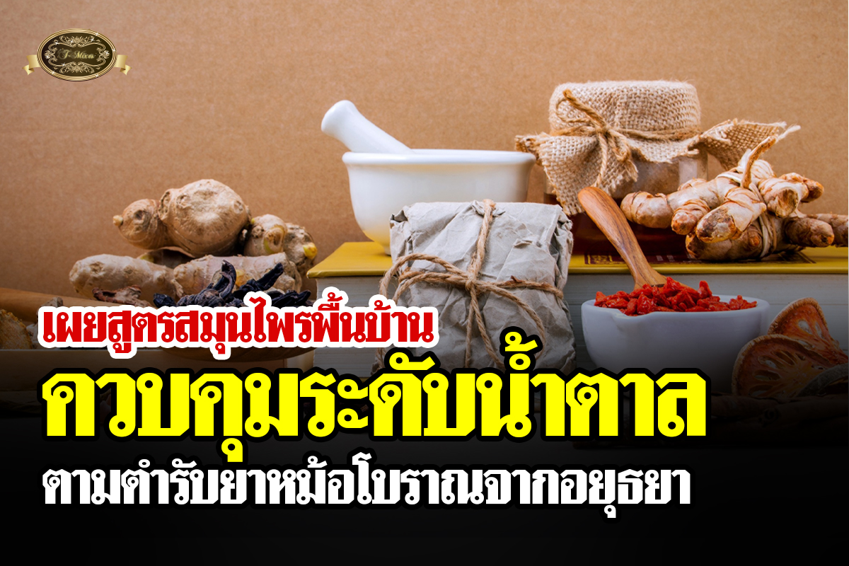 เผยสูตรสมุนไพรพื้นบ้าน ควบคุมระดับน้ำตาลตามตำรับยาหม้อโบราณจากอยุธยา